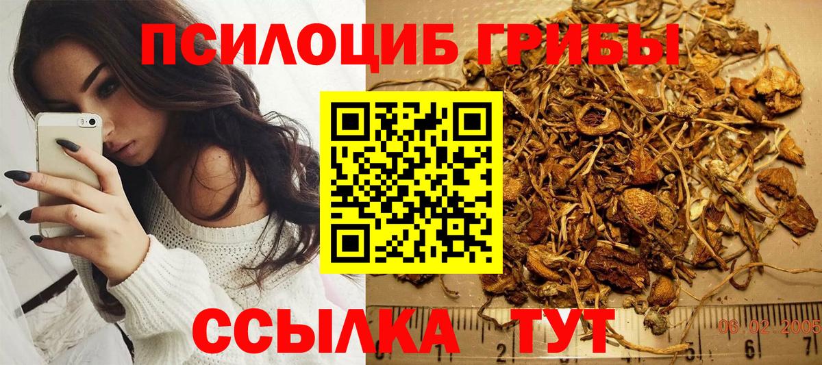 Галлюциногенные грибы ЛСД Отрадный