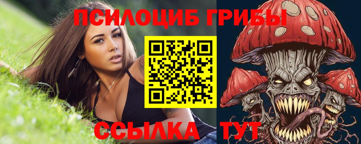 Галлюциногенные грибы мухоморы  Вход с VPN  Псилоцибиновые грибы Psilocybine cubensis  Отрадный 